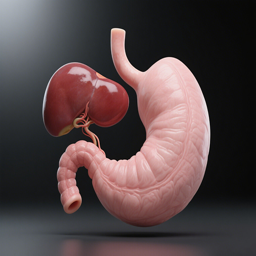 Spleen Bad and stomach? These Problems Need Attention